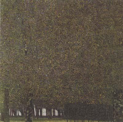 Gustav Klimt The Park (mk20) Norge oil painting art